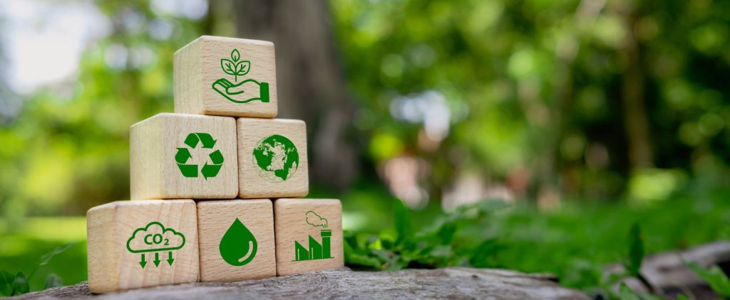 Wooden blocks with a seedling on a green field