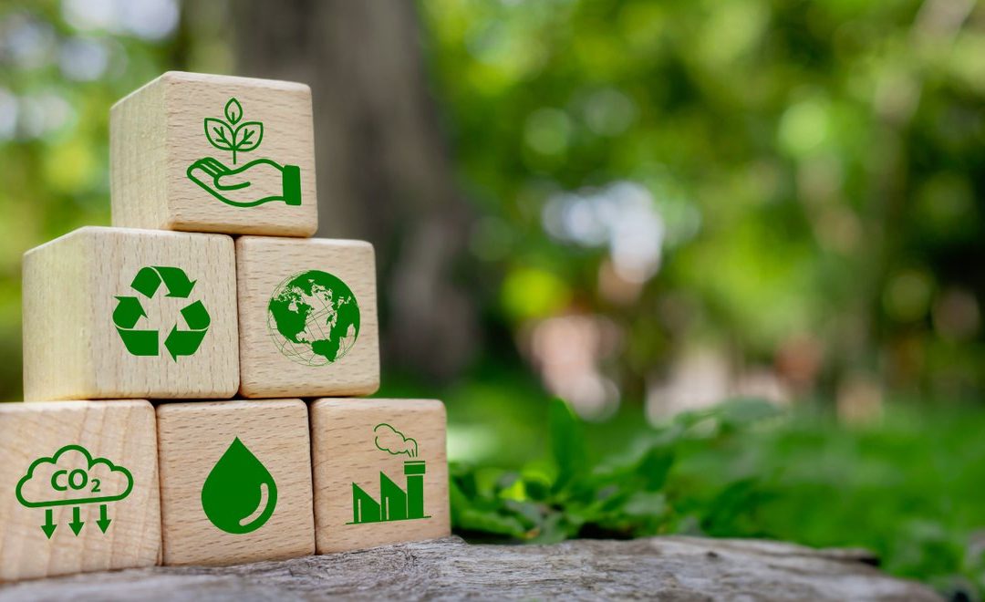 Scope 1, 2 and 3 — a plain-English guide for growing businesses