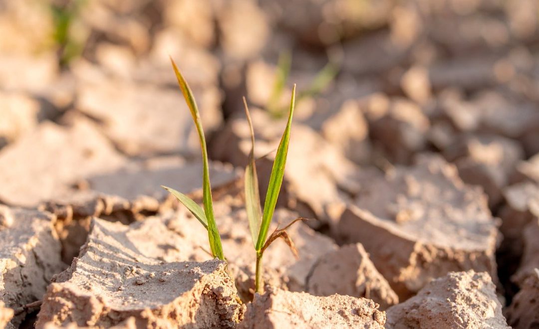 Climate risk 101: physical, transition, and what to assess first