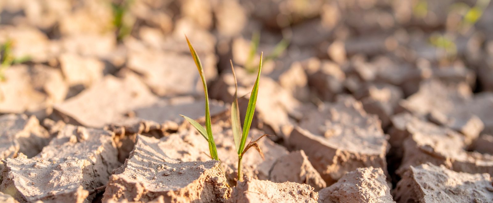 Climate risk 101: physical, transition, and what to assess first