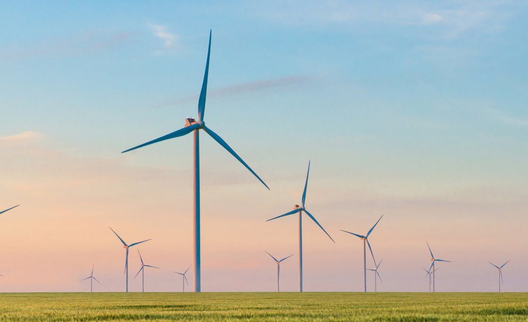 What does net zero actually mean for a business?