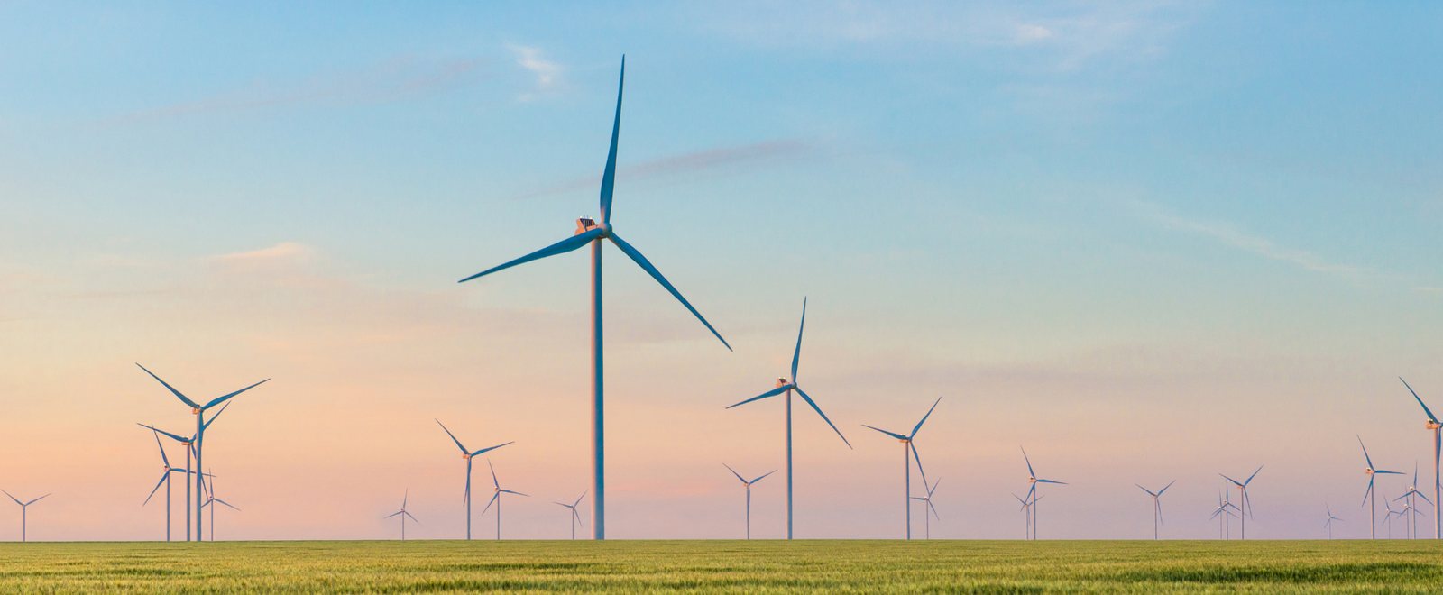 What does net zero actually mean for a business?